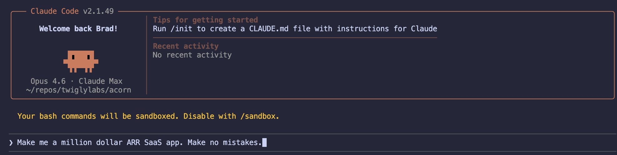 Claude code prompt with text "Make me a million dollar ARR SaaS app. Make no mistakes"
